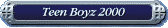 Teen Boyz 2000
